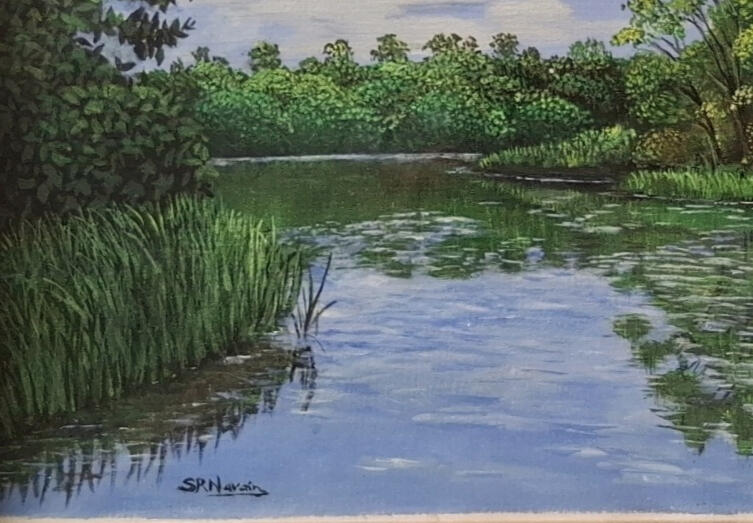 Serene River